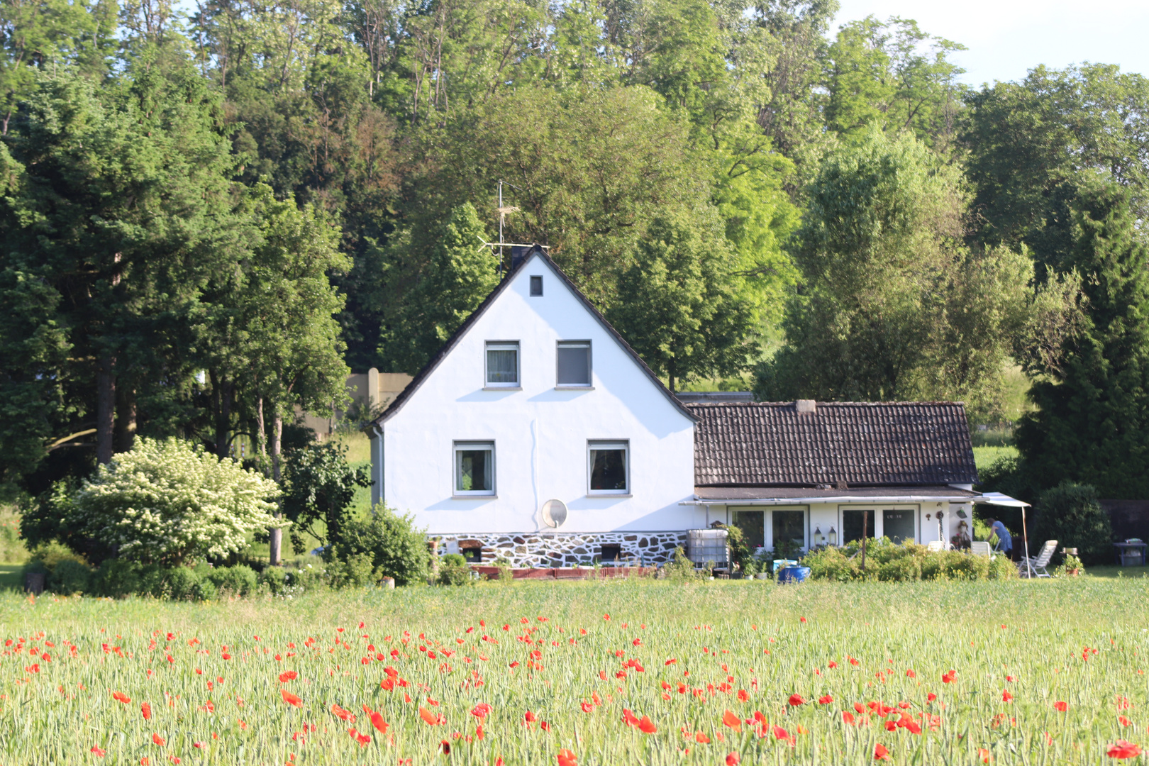 Schweden