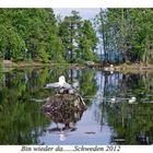 Schweden-Glaskogen 2012