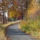 Schweden hinter der Haustür?