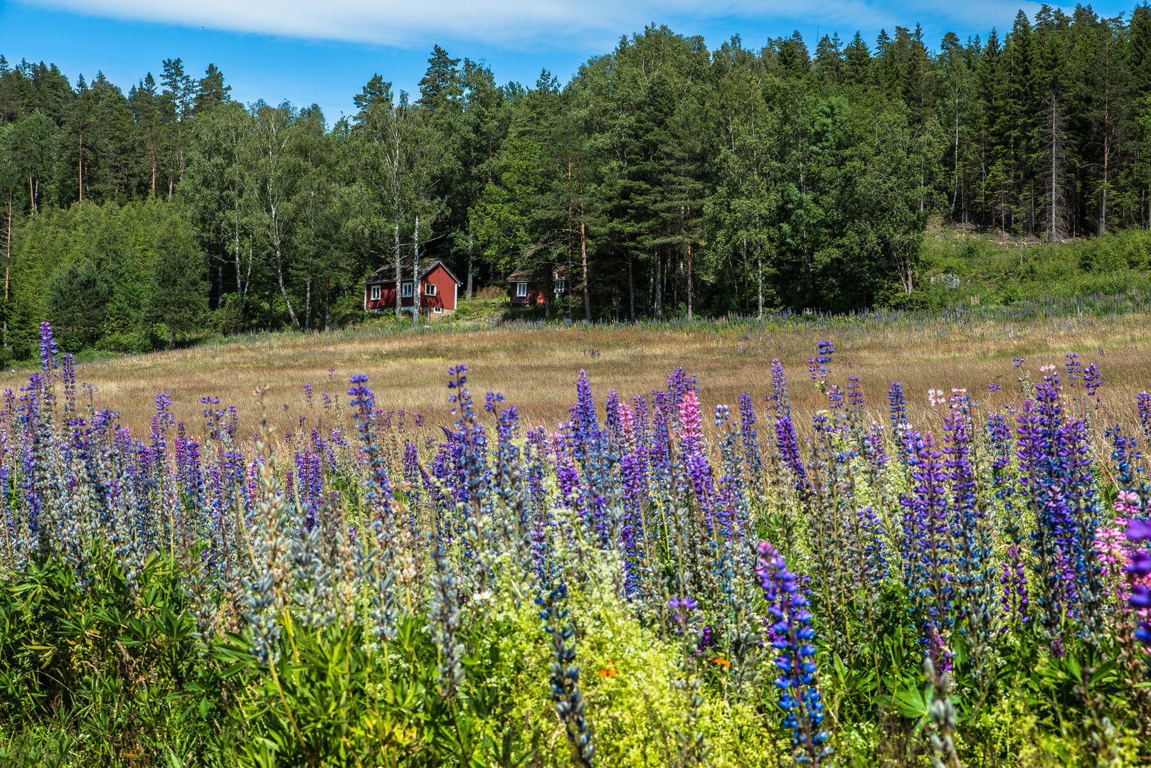 Schweden-Klischee