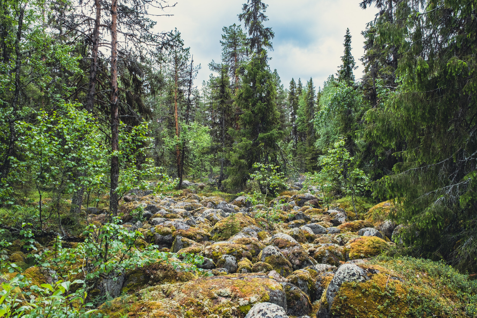 Schweden Landschaft Geröllebene am Piteälven Juni 2021