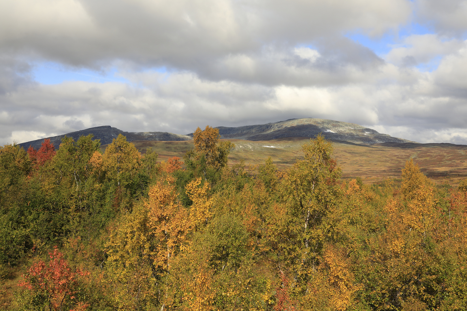 Schweden Vildmarksvägen II