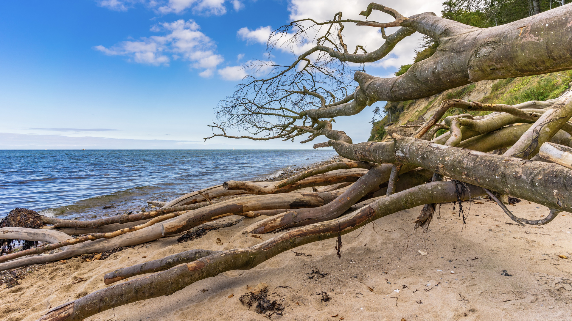 Schwedeneck / Ostsee