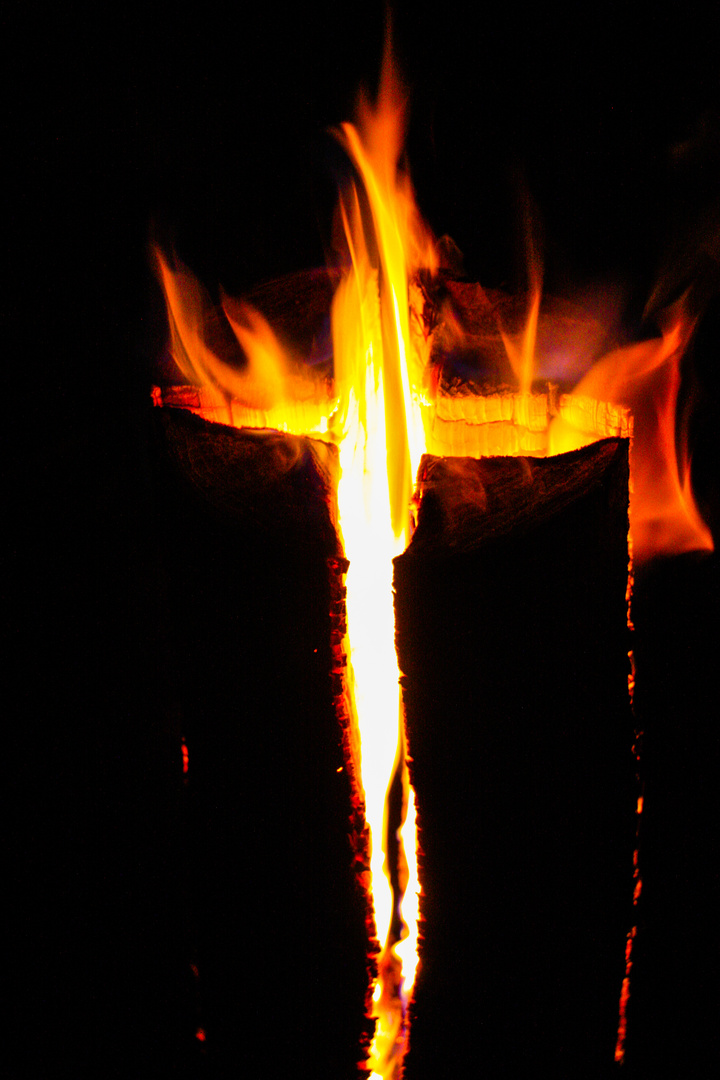 Schwedenfackel 1 Foto Bild Archiv Projekte Naturchannel Monatswettbewerbe Natur 01 Feuer Bilder Auf Fotocommunity