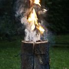 Schwedenfeuer die Ewige Flamme Holz wächst nach
