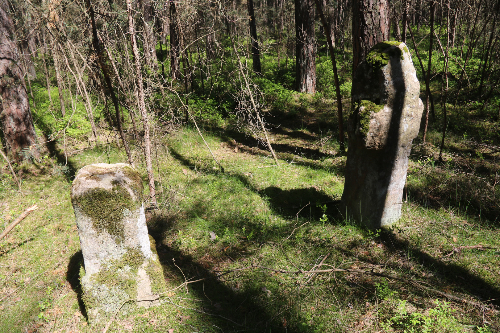 Schwedenkreuz und Fragment einer Bildsäule 