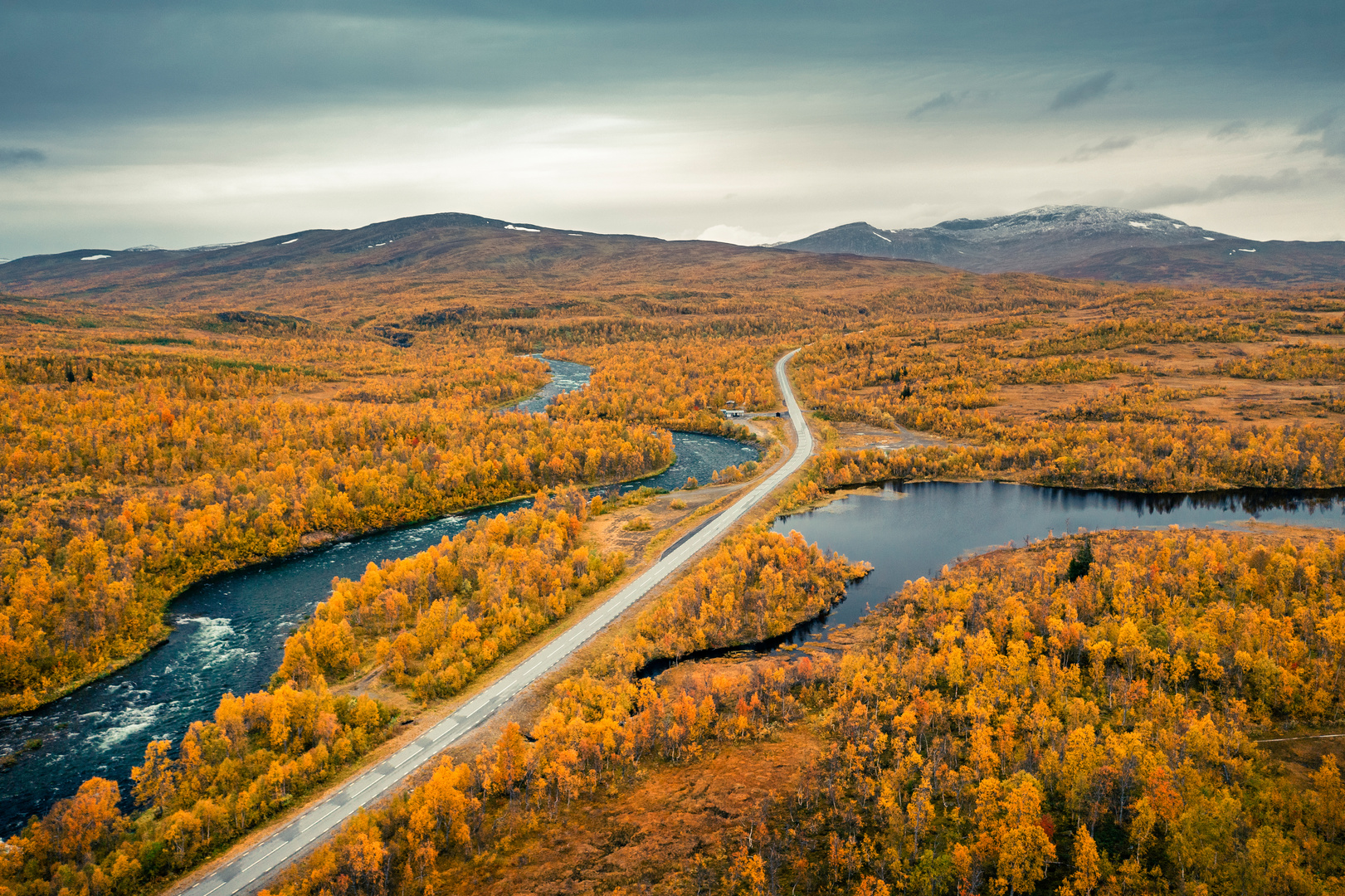 Schwedens Lappland im Herbstgelb