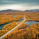 Schwedens Lappland im Herbstgelb