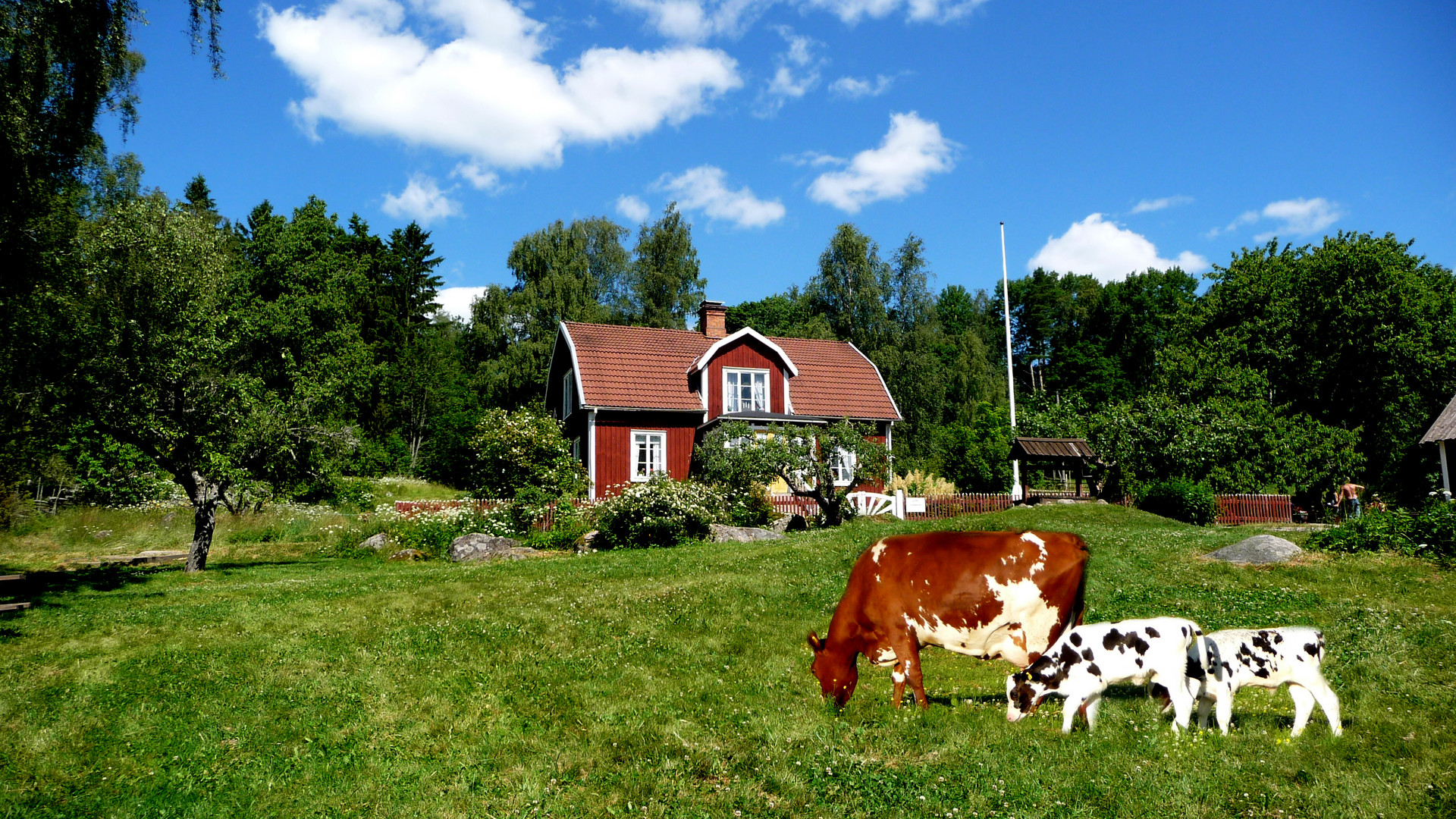 Schwedensommer