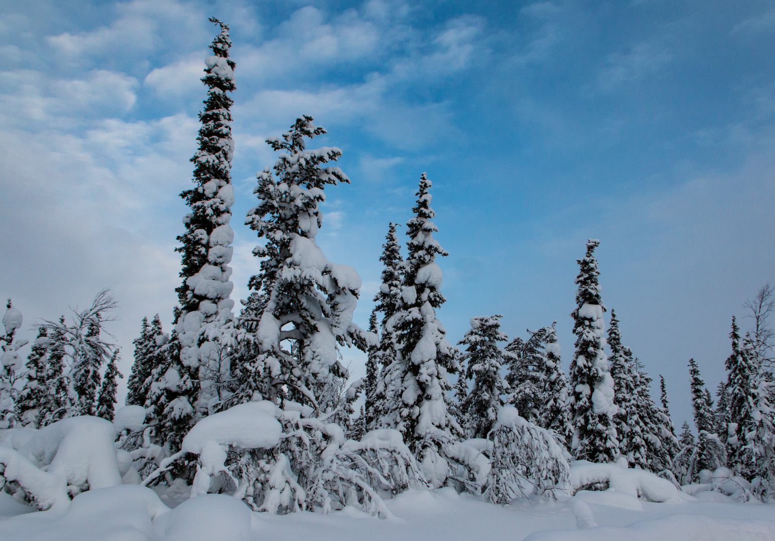 Schwedenwinter