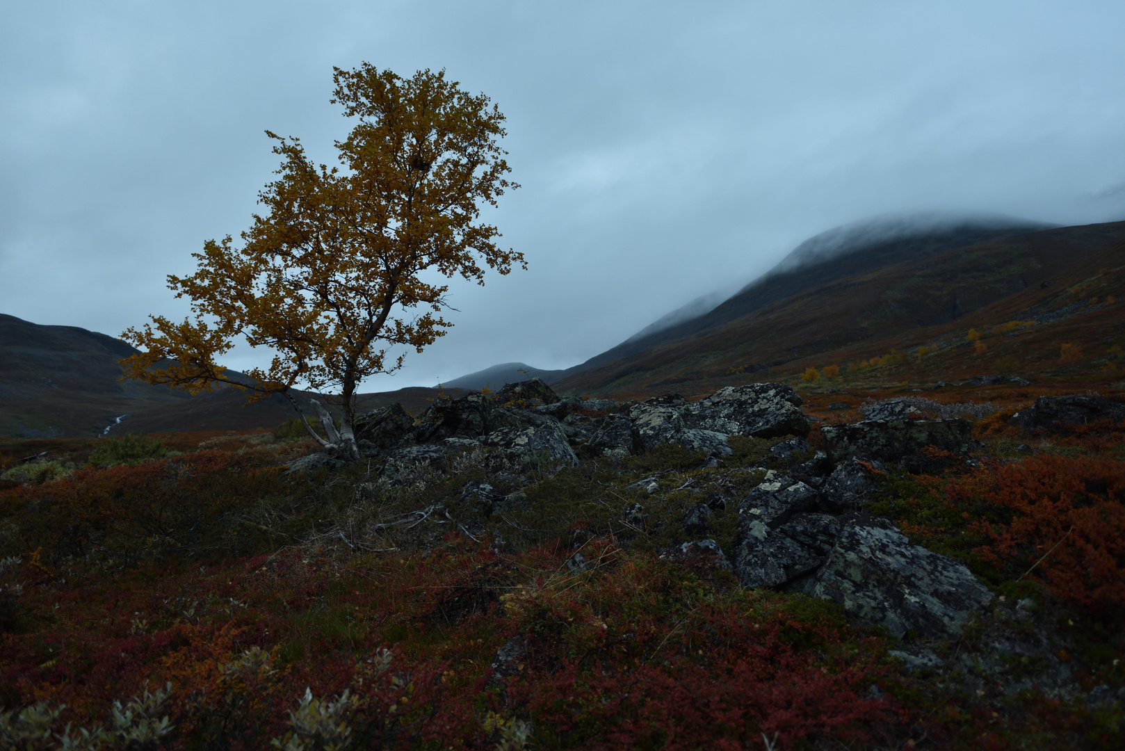 Schwedisch Lappland #1