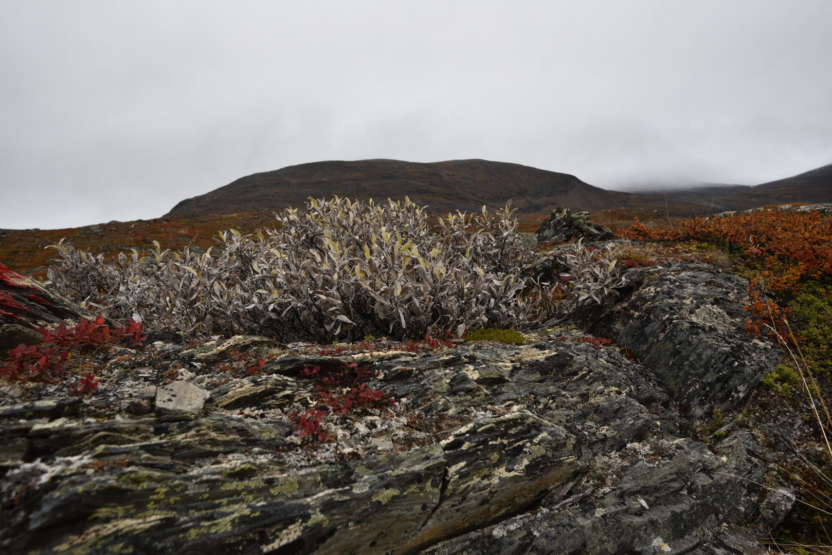 Schwedisch Lappland #2