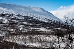 Schwedisch . Lappland  ..DSC_2985-2