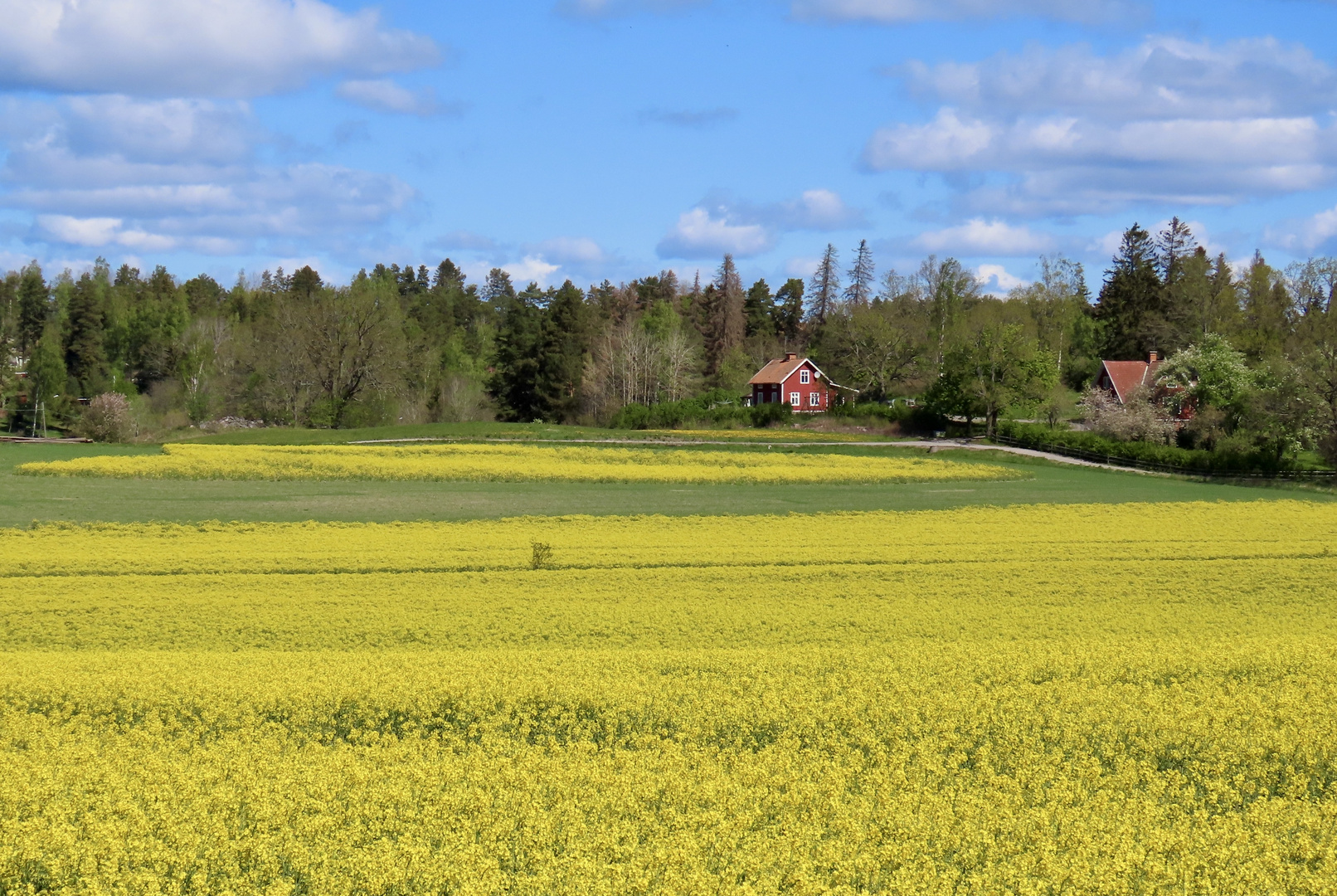 Schwedische Farben............