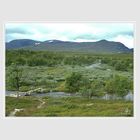 Schwedische Fjellgebiet ca 1000 m Jämtland