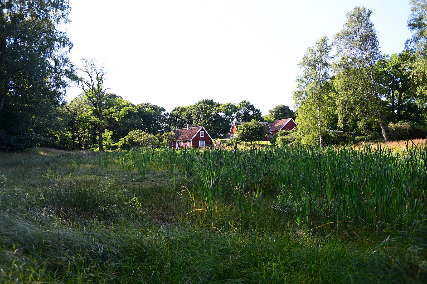 Schwedische Idylle