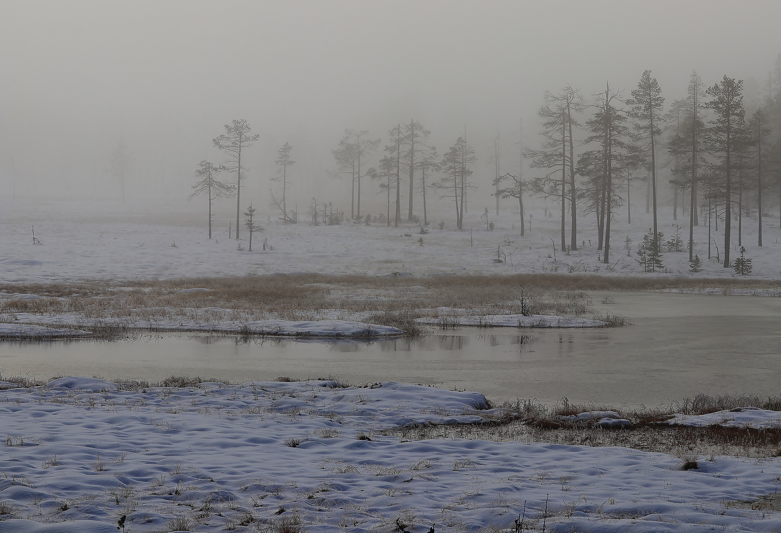 Schwedische Impressionen/ 20