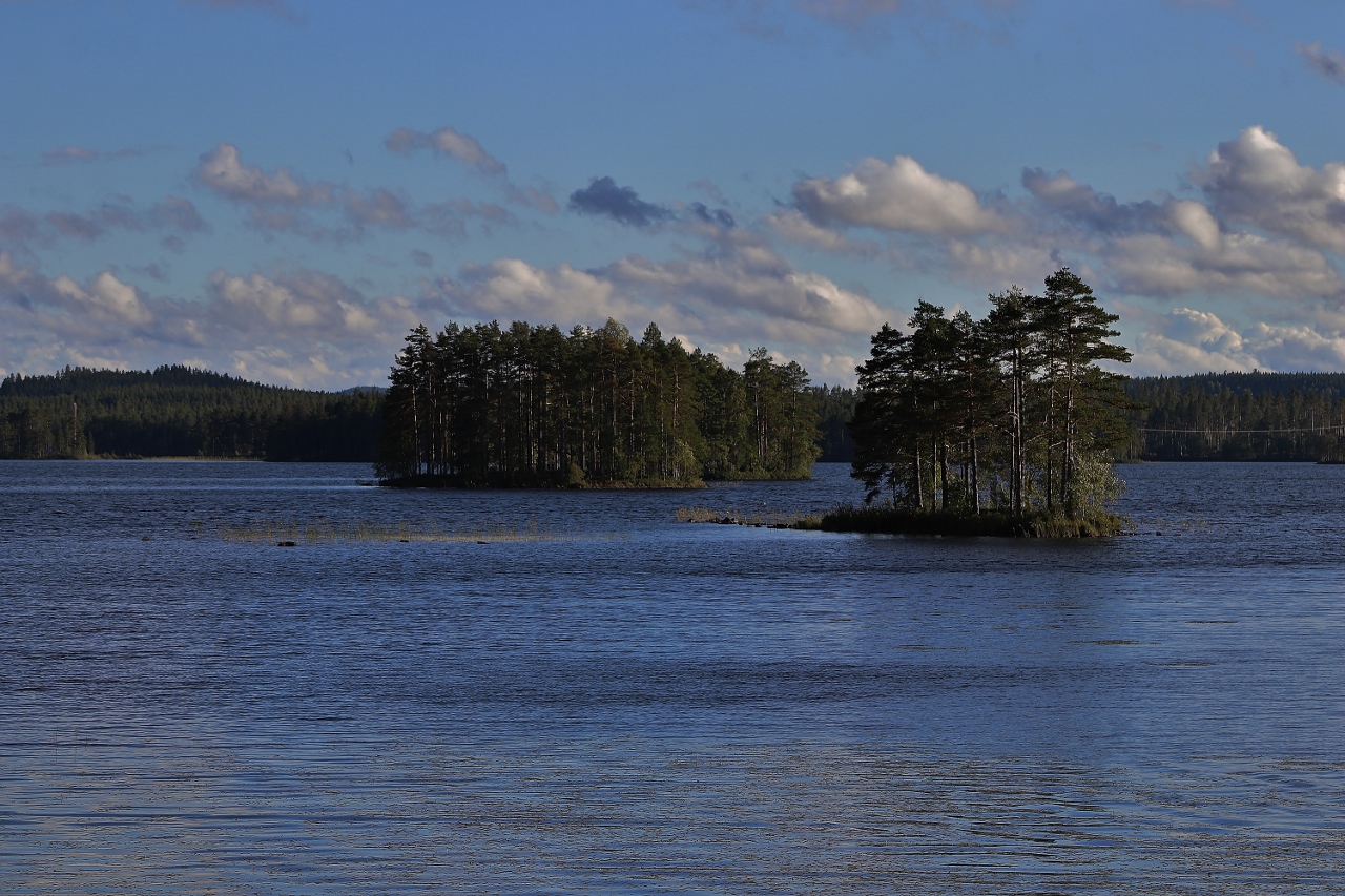 Schwedische Impressionen 2020/ 14