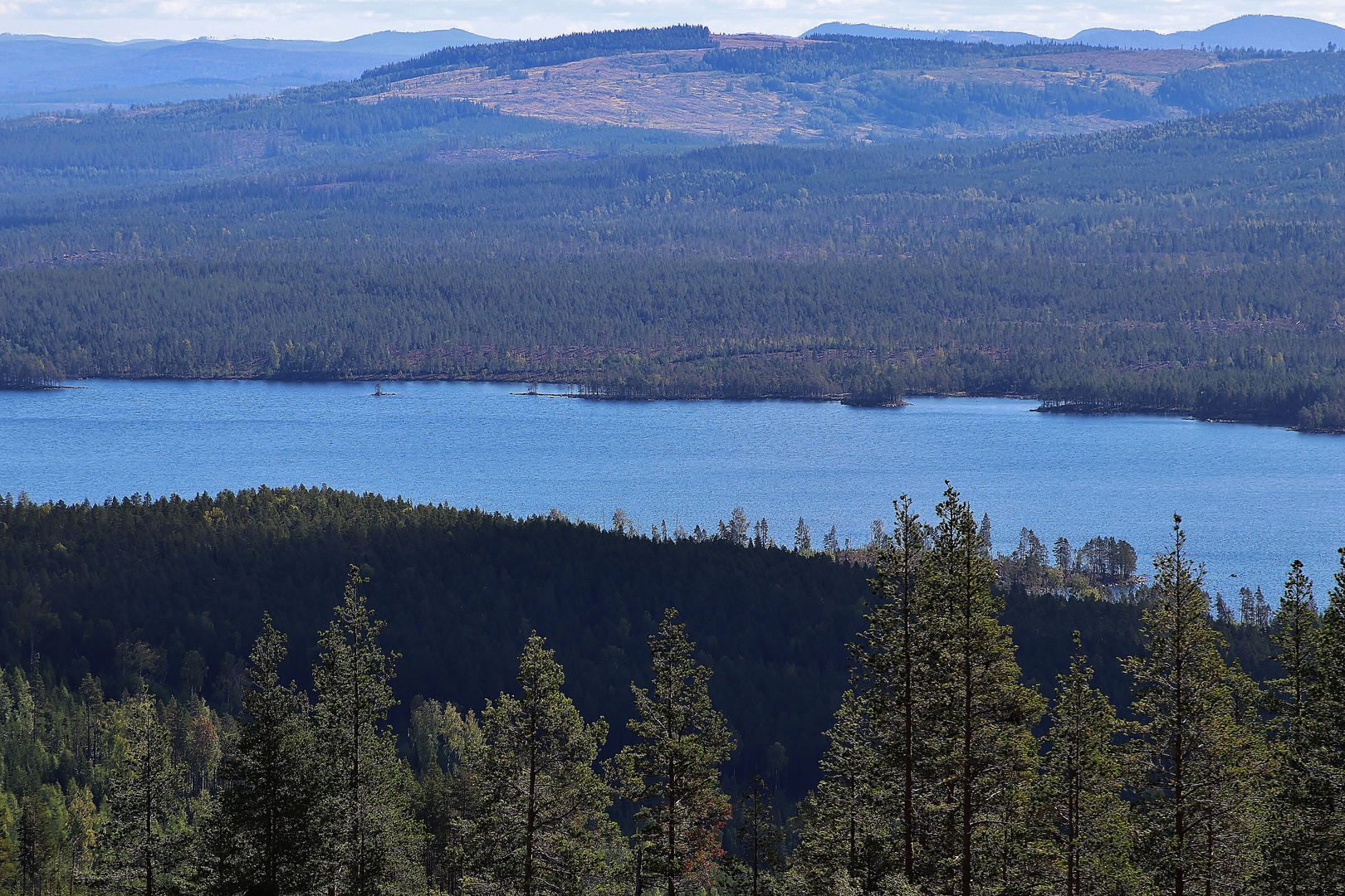 Schwedische Impressionen 2020/ 23