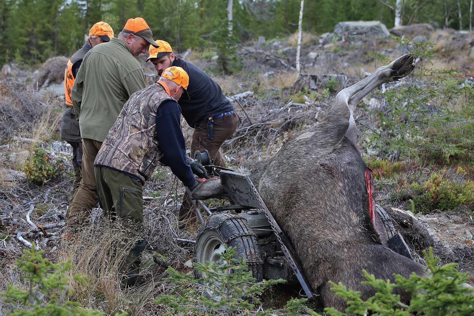 Schwedische Impressionen 2020/ 48