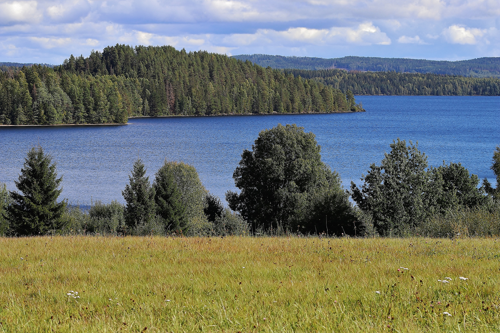 Schwedische Impressionen 2020/ 8