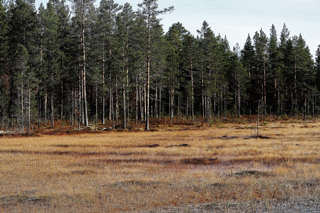 Schwedische Impressionen/ 7