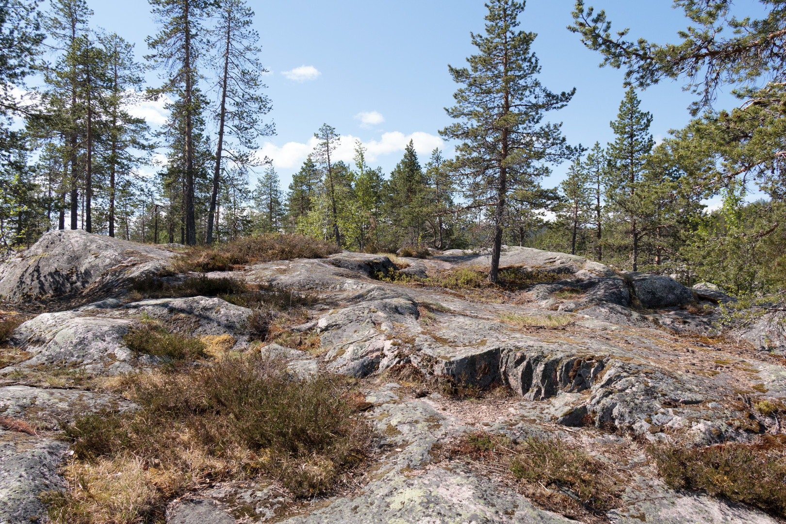 schwedische Landschaft