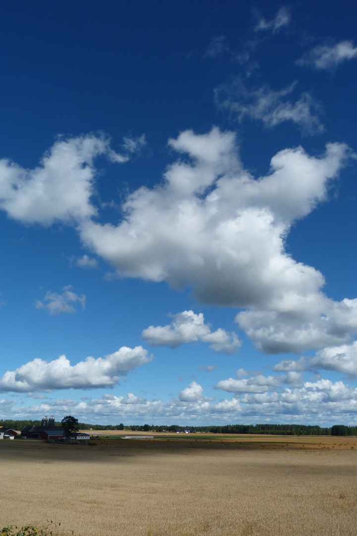 Schwedische Landschaft