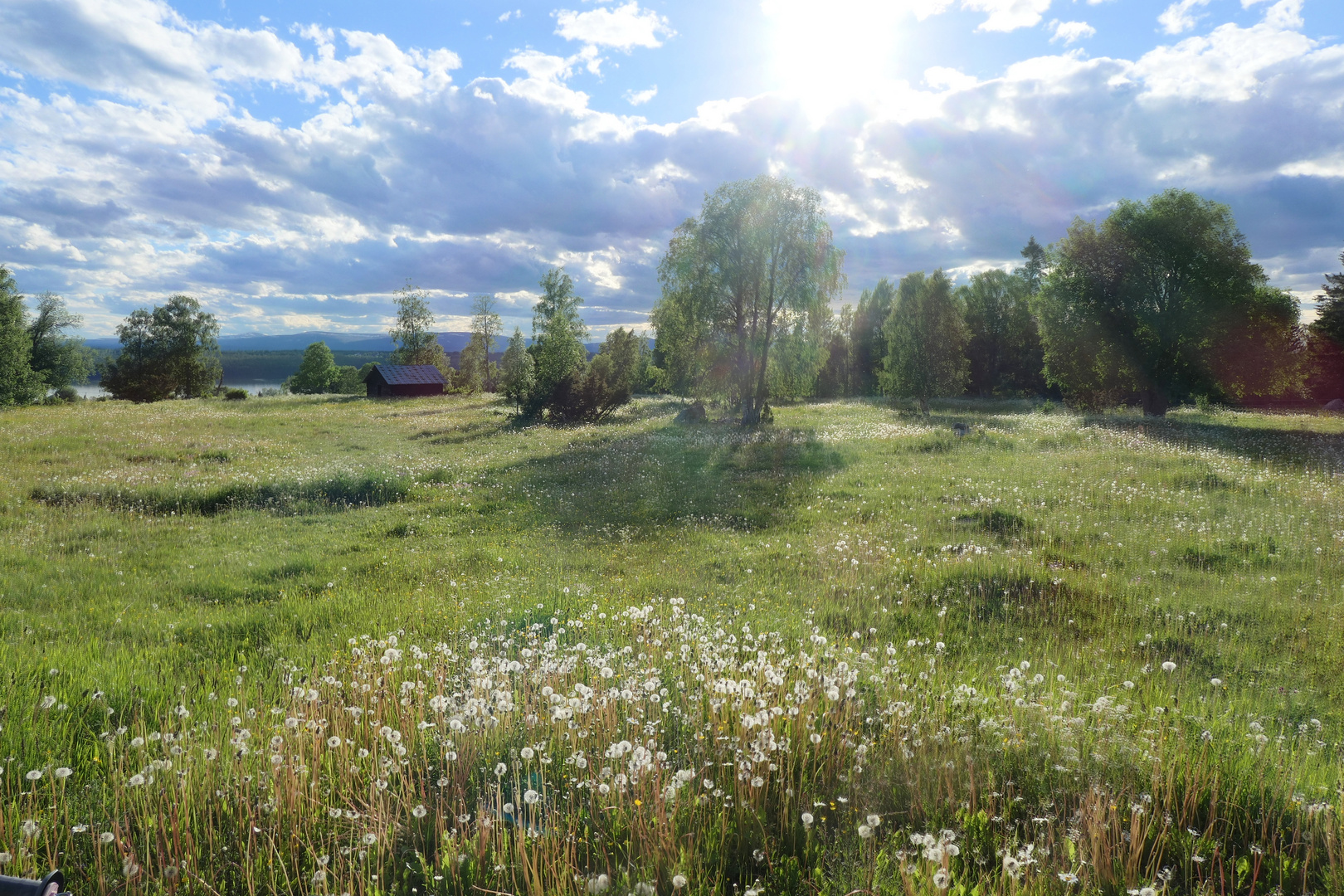 schwedische Landschaft im Gegenlicht