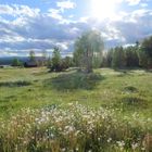 schwedische Landschaft im Gegenlicht