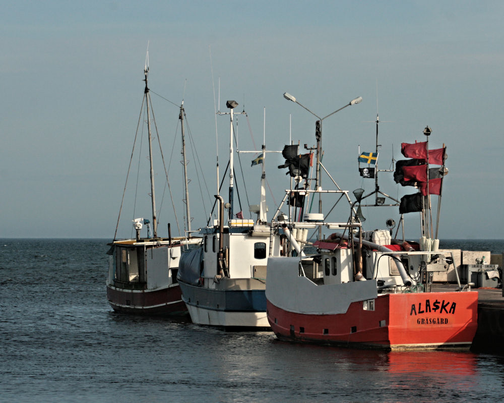 Schwedische "Piraten"