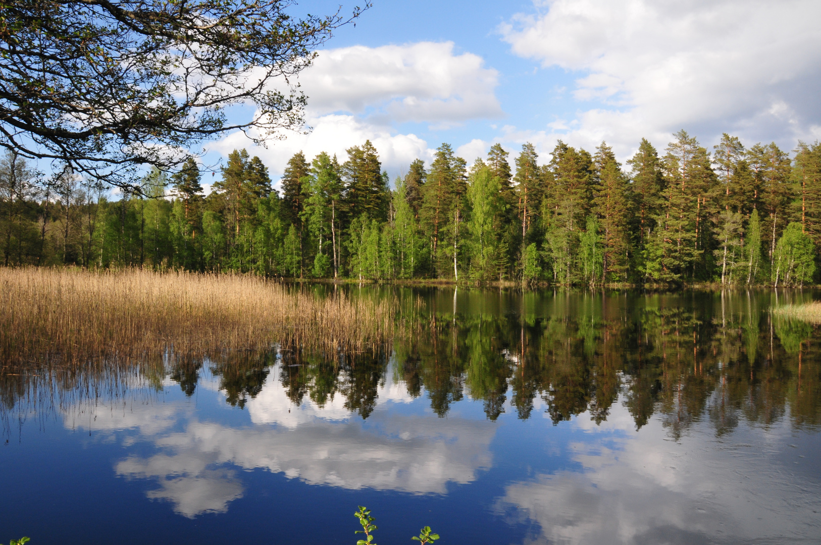 Schwedische Seenlandschaft