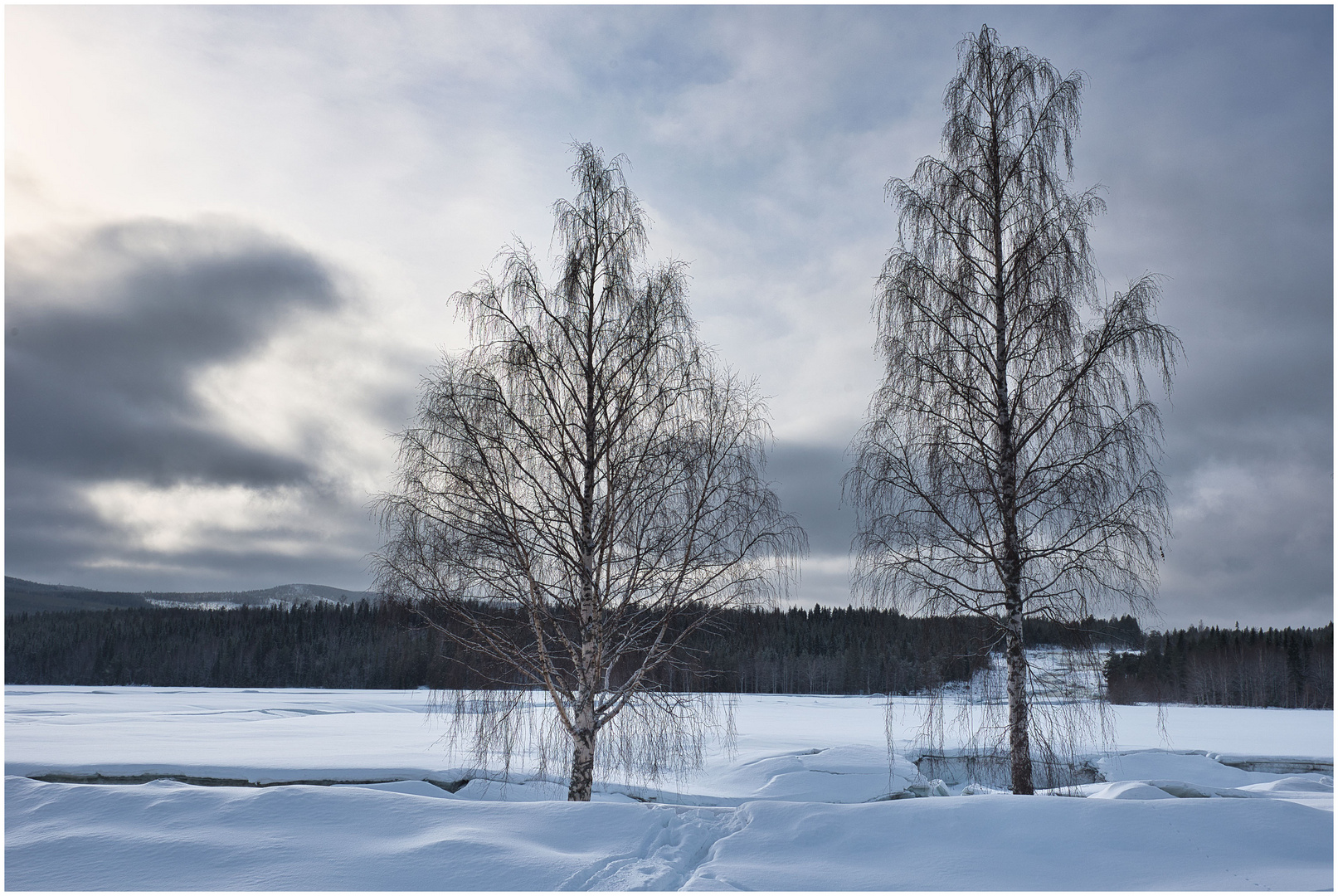 Schwedische Winterlandschaft