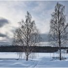 Schwedische Winterlandschaft