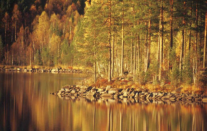 Schwedischer Herbst