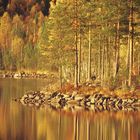 Schwedischer Herbst