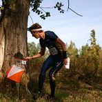 Schwedischer Läufer am vorletzten Posten