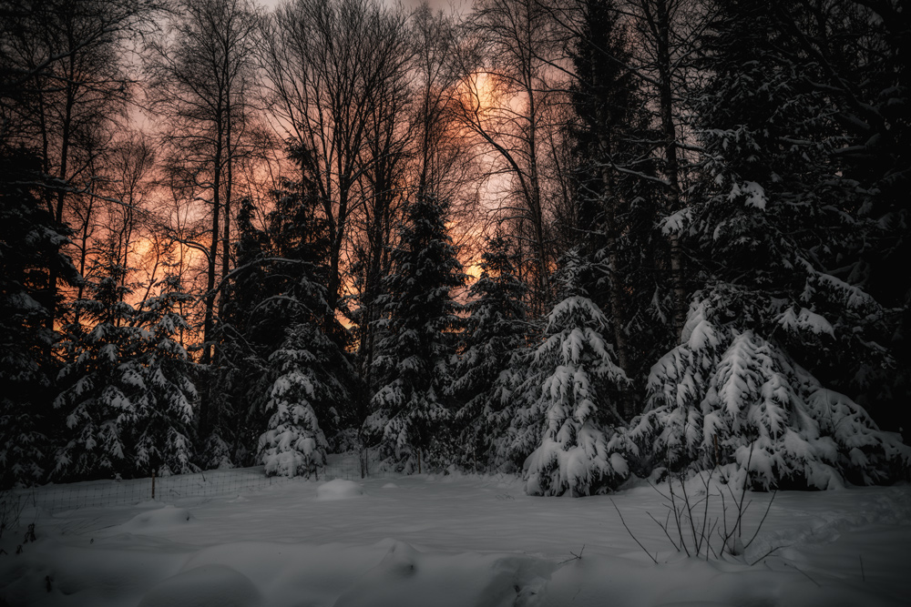 Schwedischer Schnee