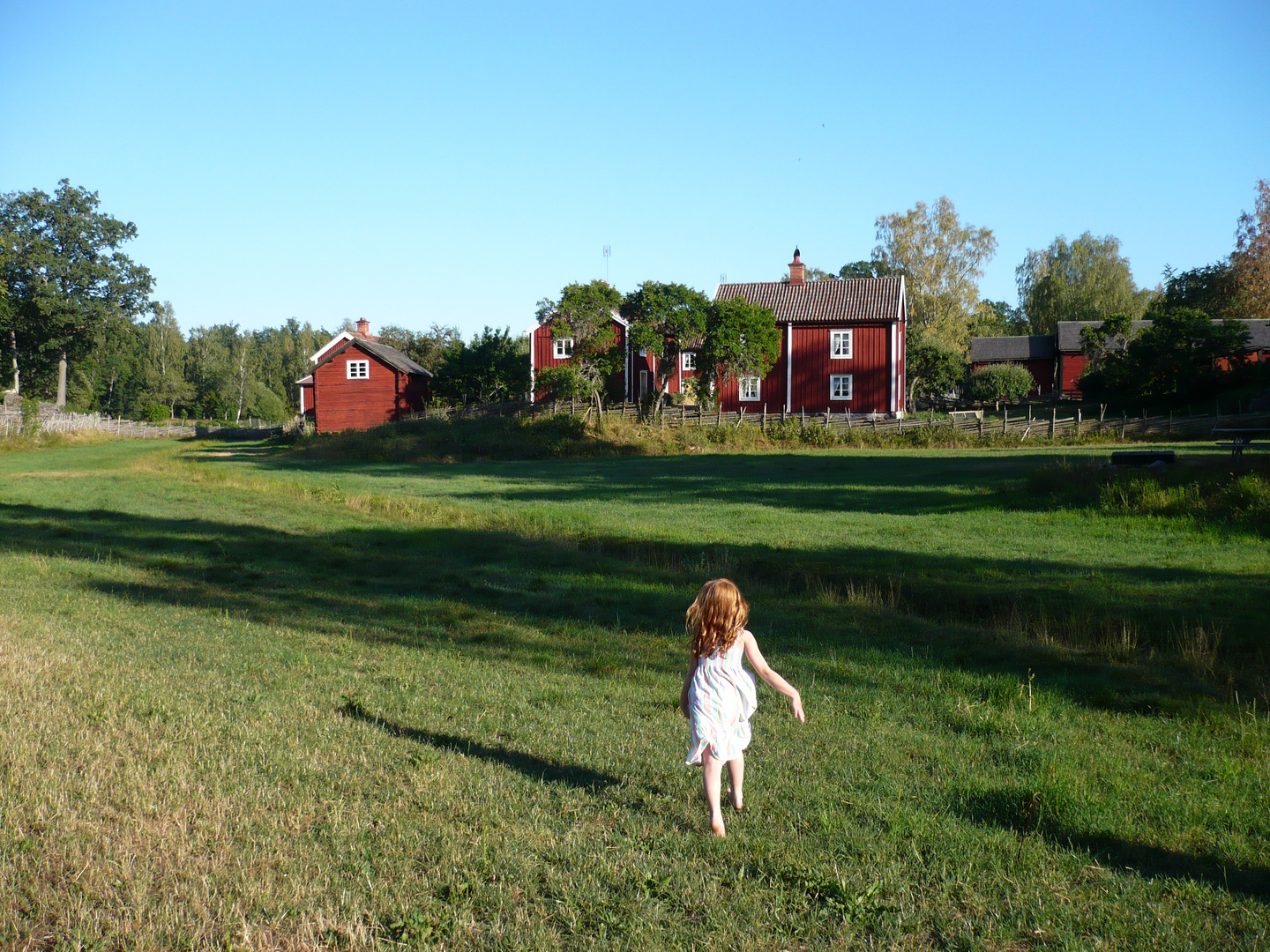 Schwedischer Sommer