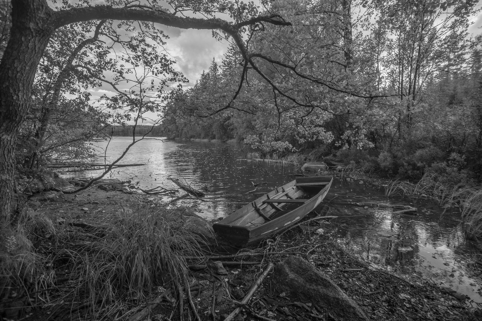 Schwedischer Waldsee (2016)