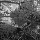 Schwedischer Waldsee (2016)