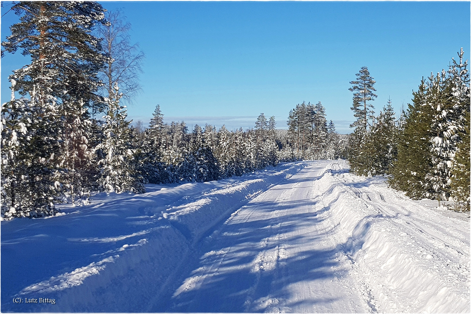 Schwedischer Winter