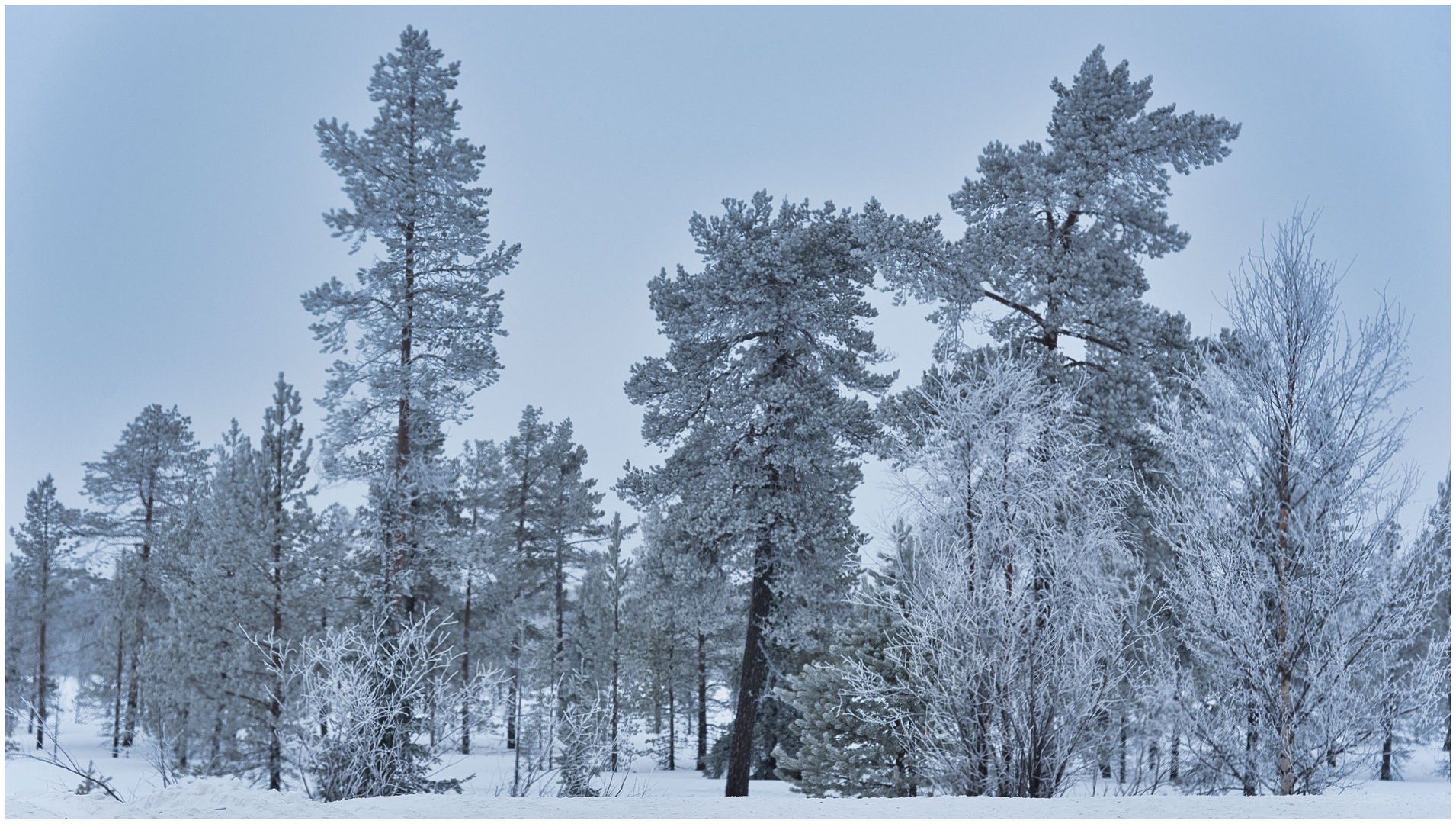 Schwedischer Winter