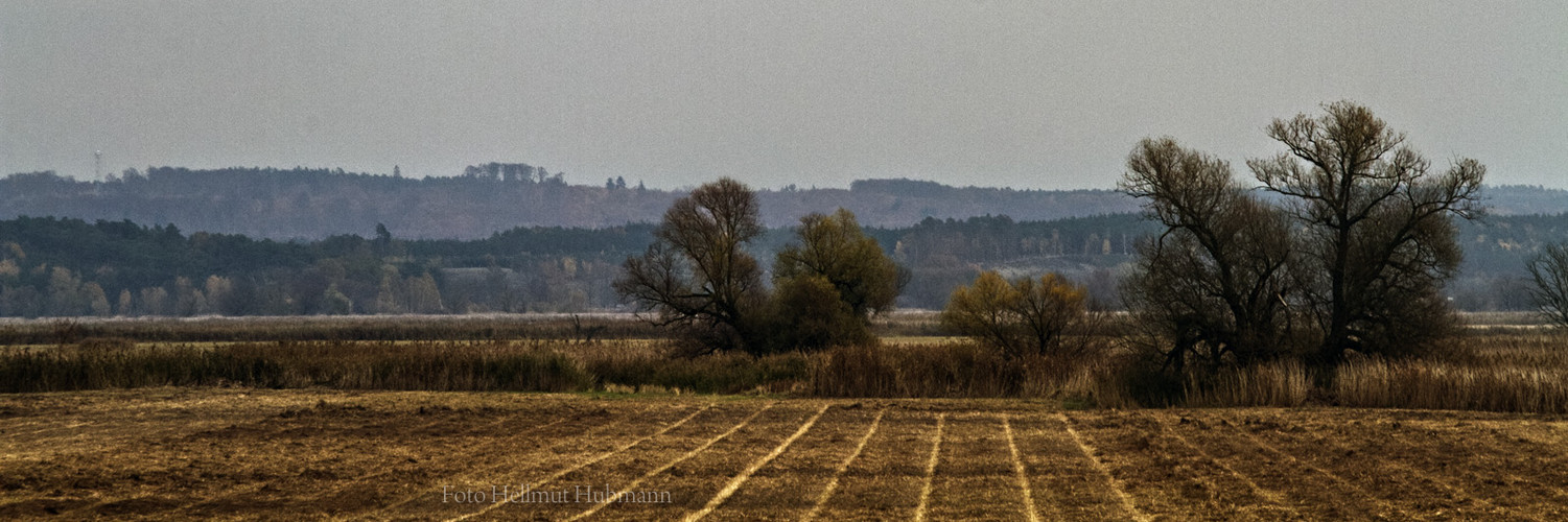 SCHWEDT - LANDSCHAFT NEBEN DER ODER MIT BLICK NACH POLEN