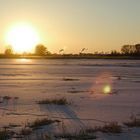 Schwedter Papierwerke vom Nat.Park gesehen