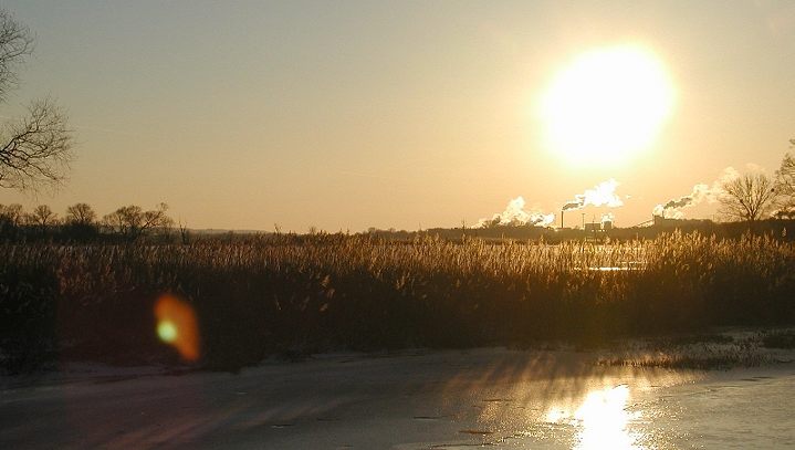 Schwedter Polder im Winter