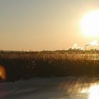 Schwedter Polder im Winter