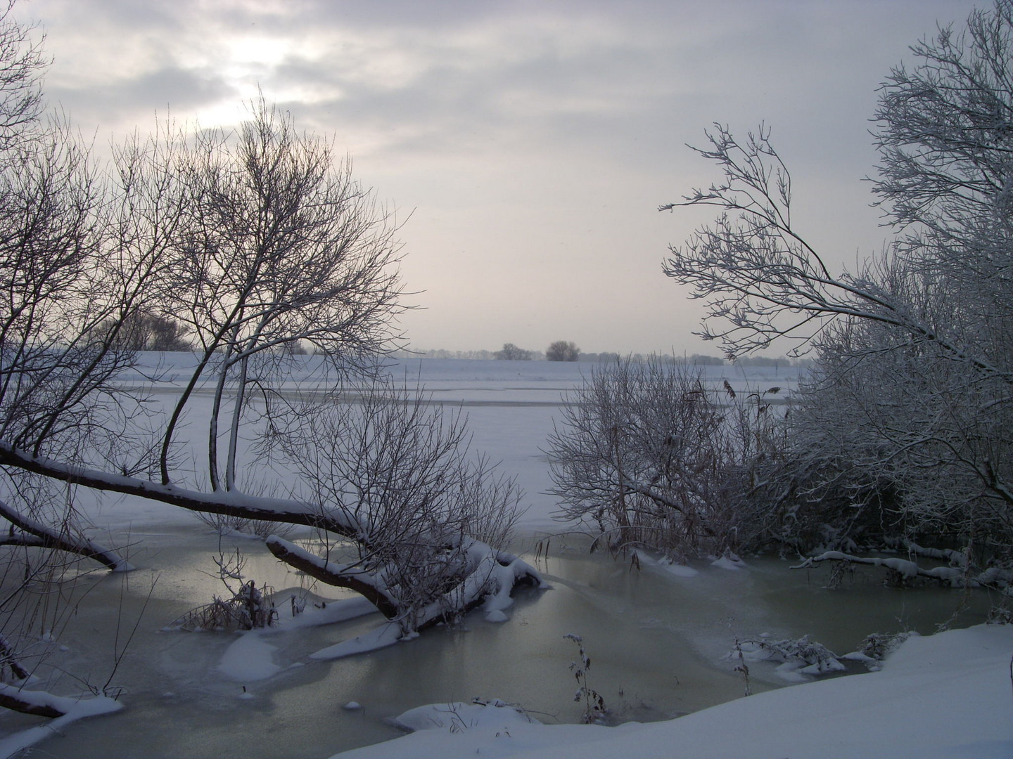 -Schwedter Winterlandschaft-