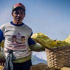 Schwefelträger auf dem Vulkan Ijen (2)