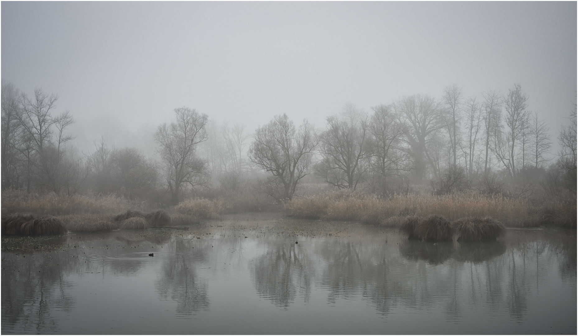 Schweigendes Wasser